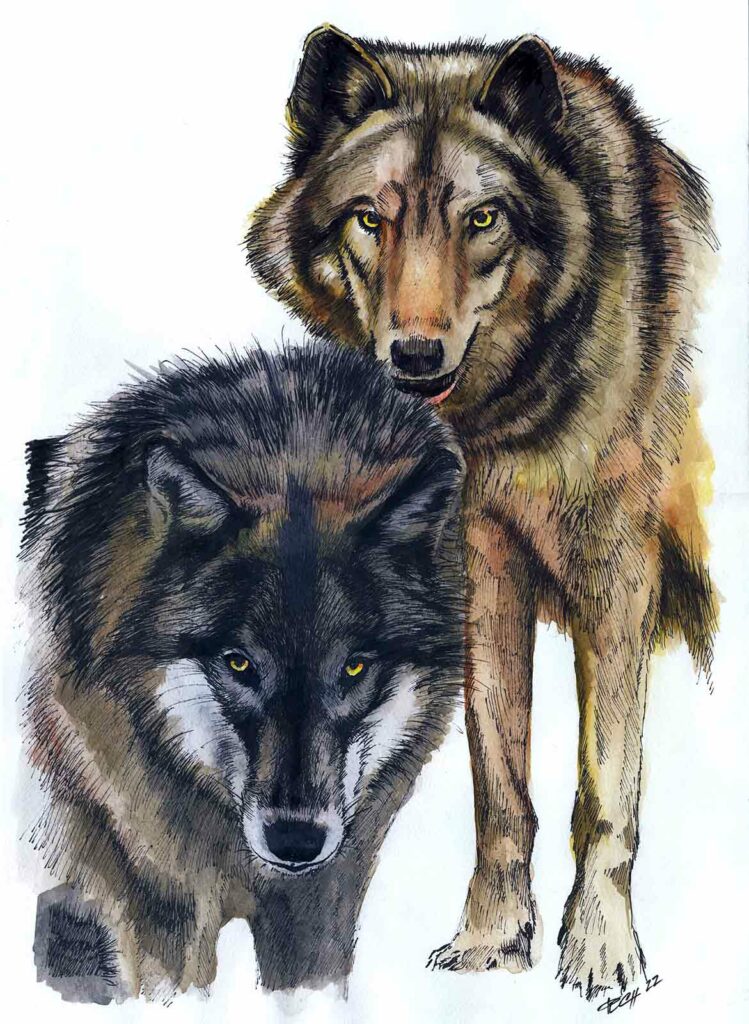Painting wolves